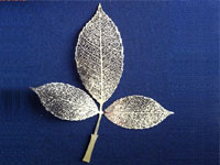 etching brass leaves