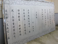 Etched Decorative Stainless Steel Sheet